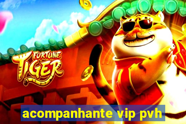 acompanhante vip pvh